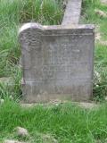 image of grave number 313648